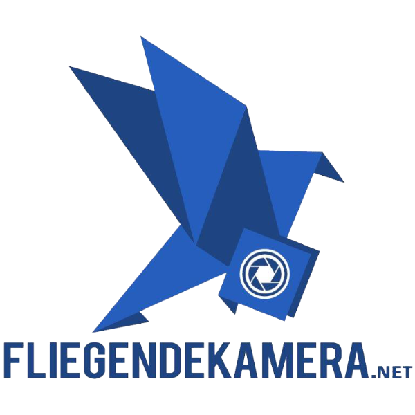 Logo_Avatar_fliegendeKamera.png